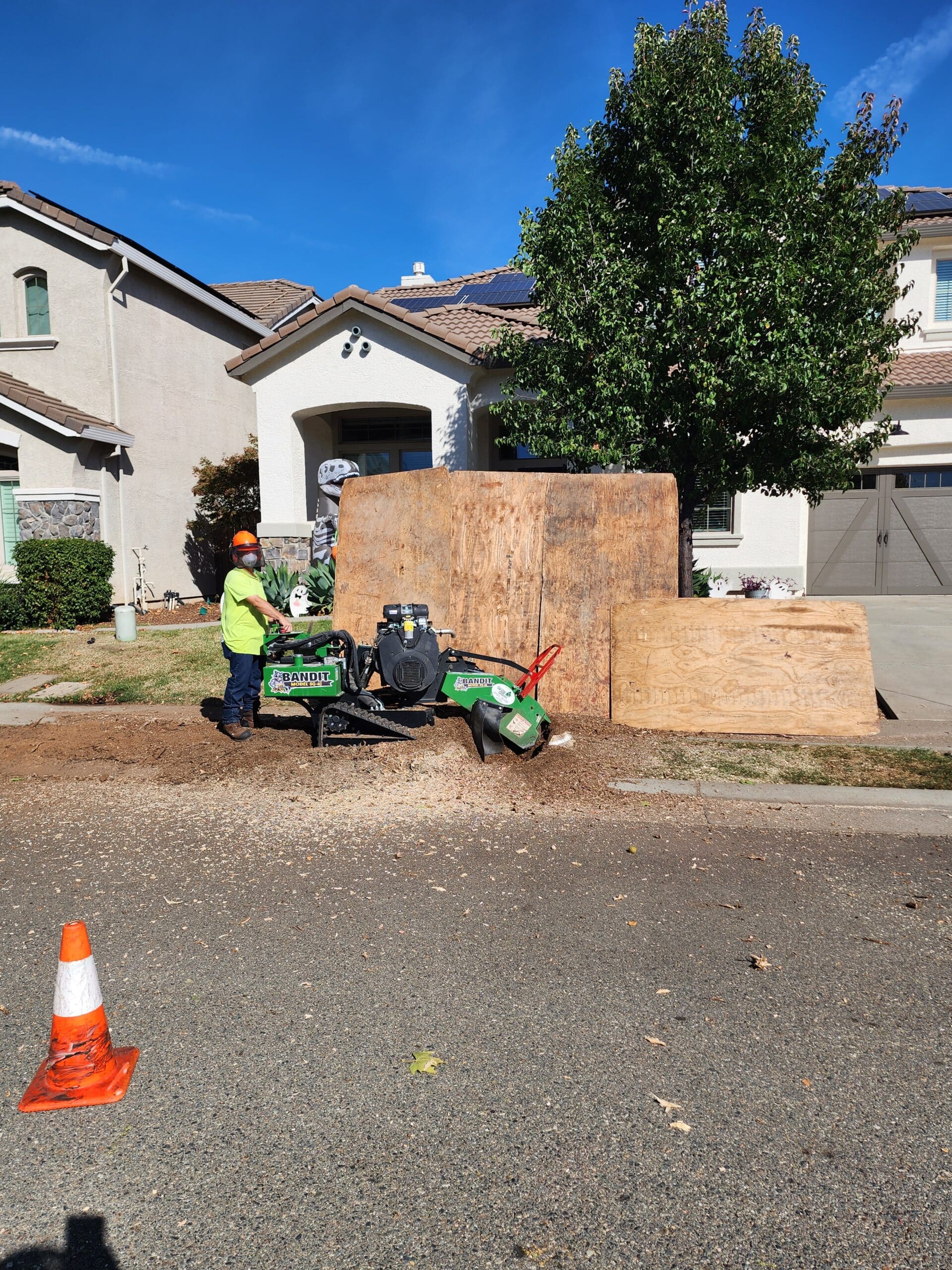 Stump Grinding and Tree Services